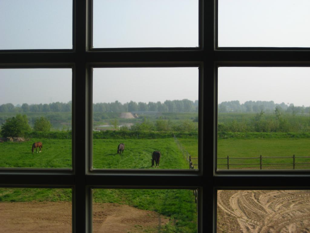 Vakantiehuis Aen De Roderburgh Maaseik Esterno foto